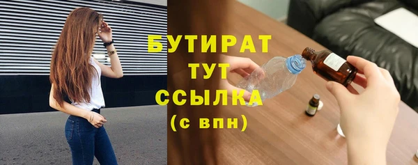 индика Дмитров