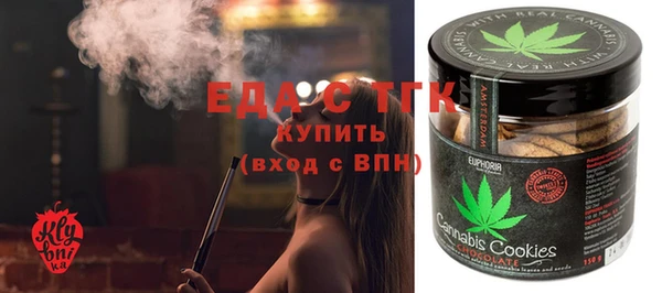 индика Дмитров