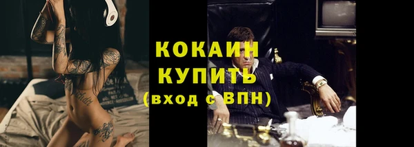 индика Дмитров