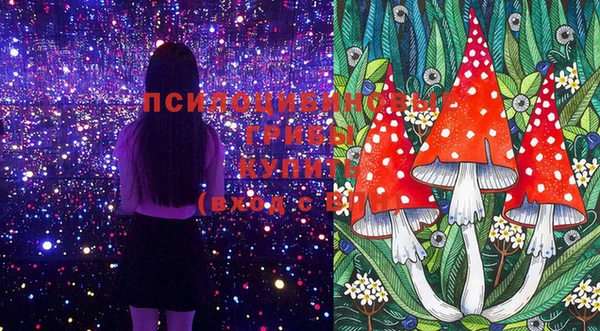 соль ск Елабуга
