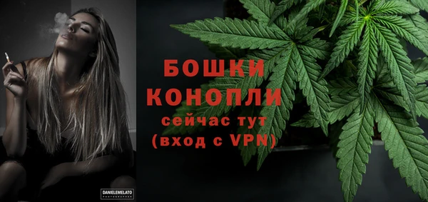 индика Дмитров
