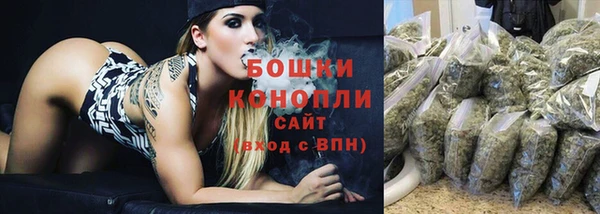 соль ск Елабуга