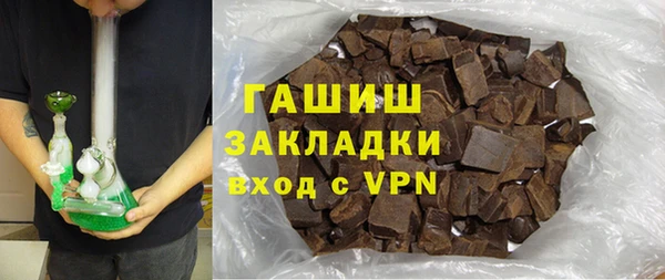 индика Дмитров