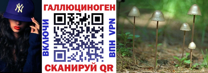 Купить  Зубцов  Галлюциногенные грибы GOLDEN TEACHER 