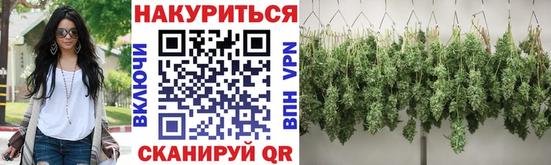 Шишки марихуана Amnesia  Купить  Зубцов 